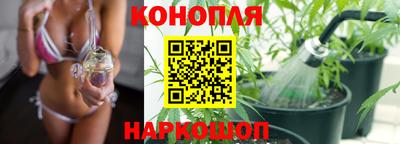 спиды Краснодар